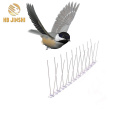 Amazon Hot Sale Stainless Steel Bird Spike for Bird Control